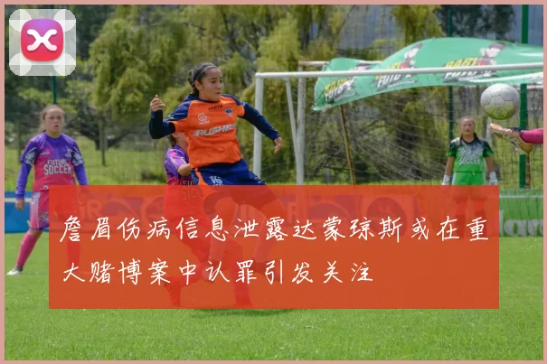 詹眉伤病信息泄露达蒙琼斯或在重大赌博案中认罪引发关注