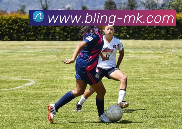 MK体育平台生态图